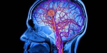 ابتكار مذهل… هواتف ذكية تكتشف السكتات الدماغية في ثوانٍ