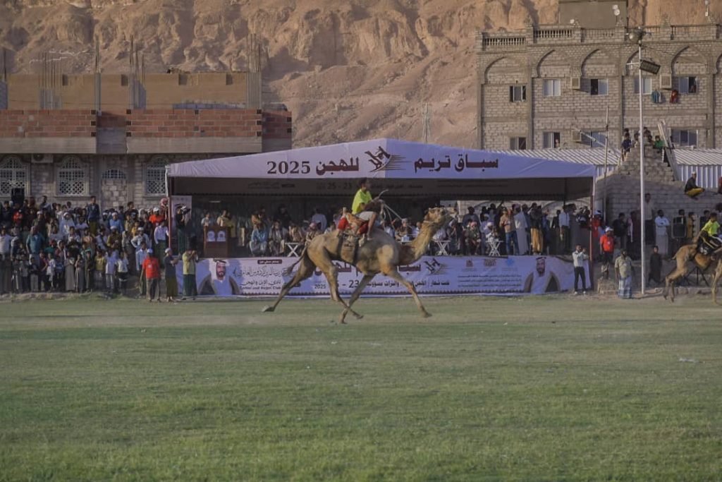 تريم تشهد انطلاقة سباق الهجن وسط حضور رسمي وجماهيري كبير