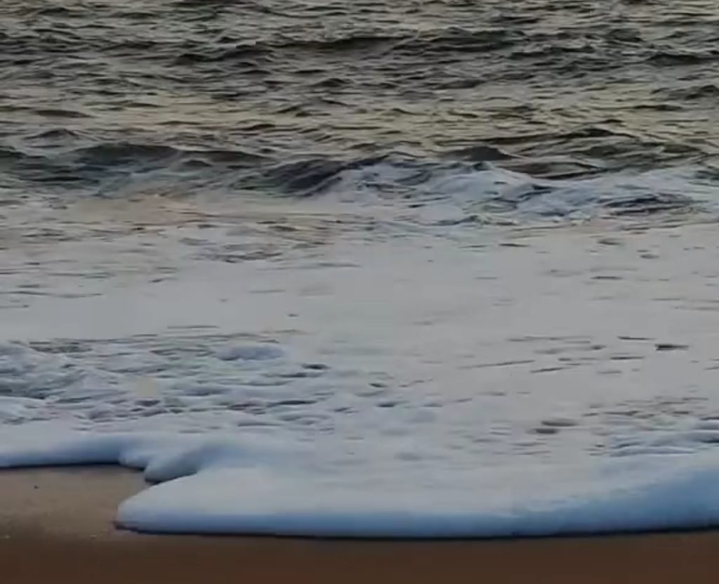 تحقيق | رأس المال يتمدد على شواطئ مصر