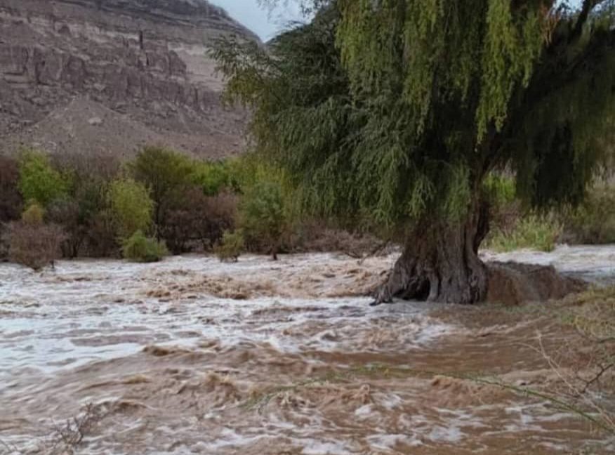 أمطار الخير تغمر وادي حضرموت في ثالث ايام عيد الفطر المبارك
